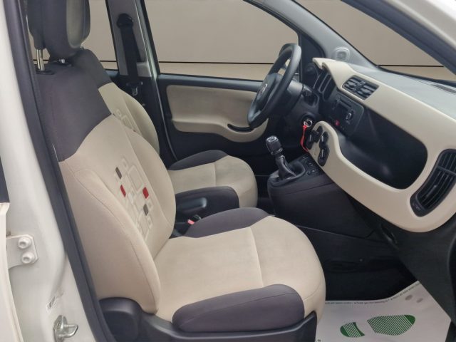FIAT PANDA 1.2 EASY - foto 18