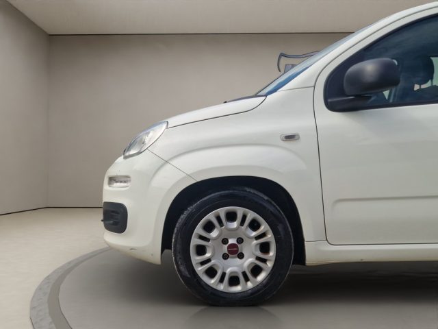 FIAT PANDA 1.2 EASY - foto 23