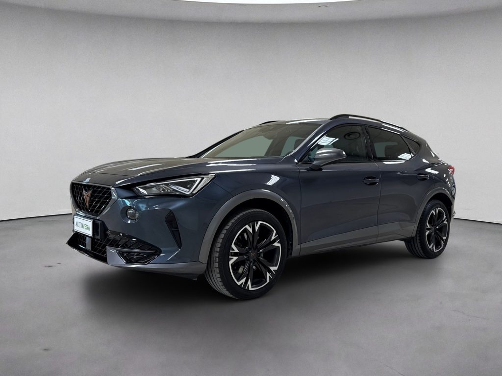 Immagine veicolo CUPRA Formentor 1.5 tsi 150cv dsg Benzina