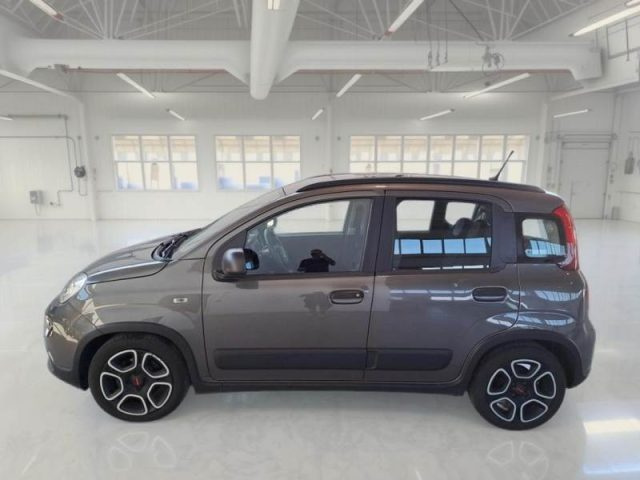 FIAT PANDA 1.0 FIREFLY S&S HYBRID CITY LIFE - foto 6