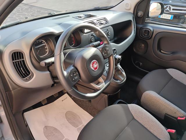 FIAT PANDA 1.0 FIREFLY S&S HYBRID CITY LIFE - foto 10