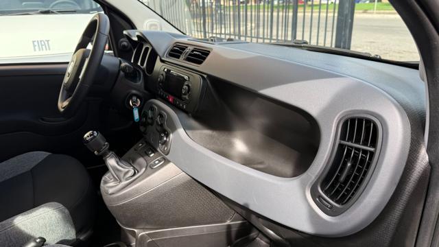 FIAT PANDA 1.0 FIREFLY S&S HYBRID CITY LIFE - foto 18