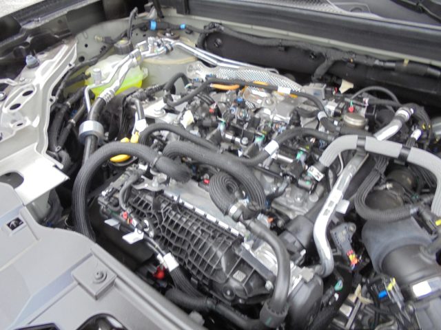 DACIA DUSTER ECO-GPL 120 CV EXPRESSION - foto 49