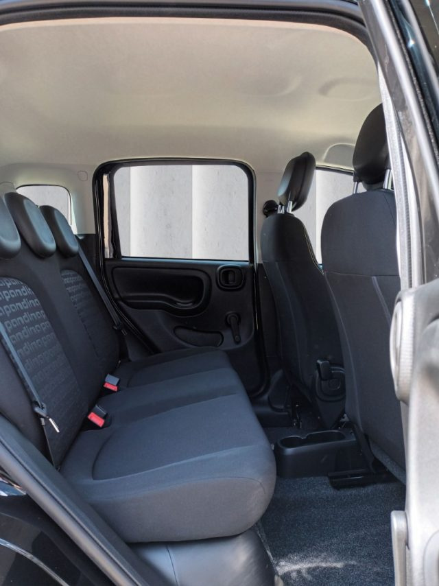 FIAT PANDINA 1000 HYBRID CROSS 65CV CARPLAY P - foto 8