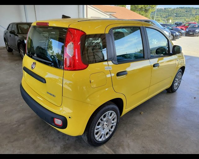 FIAT PANDINA 1.0 FIREFLY 65 CV HYBRID ICON - foto 6