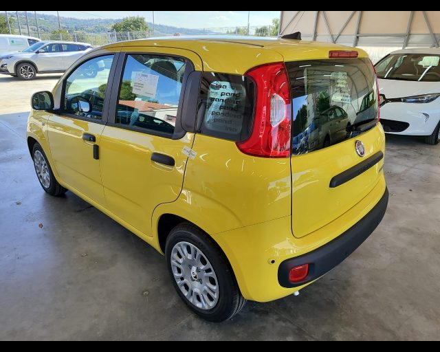 FIAT PANDINA 1.0 FIREFLY 65 CV HYBRID ICON - foto 7