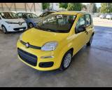 VENDO Auto a Cingoli – foto 1