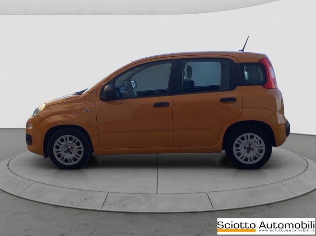 FIAT PANDA 1.2 EASY - foto 3