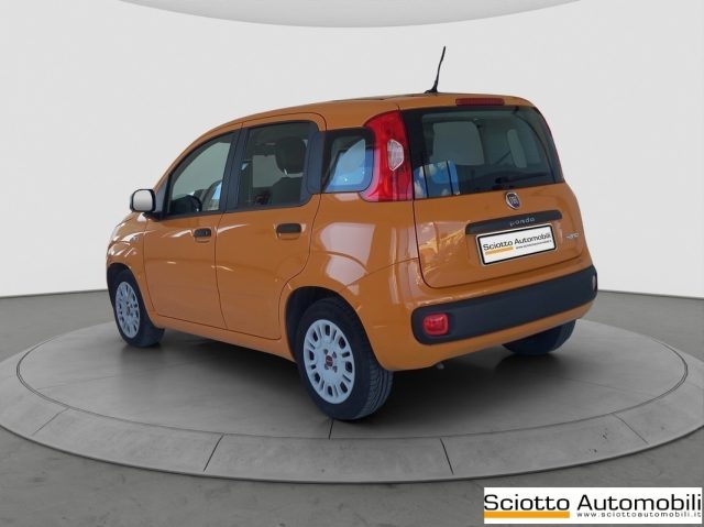 FIAT PANDA 1.2 EASY - foto 4