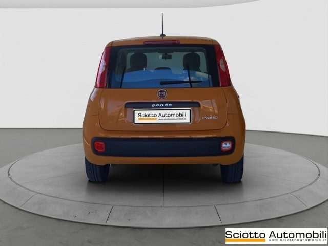 FIAT PANDA 1.2 EASY - foto 5
