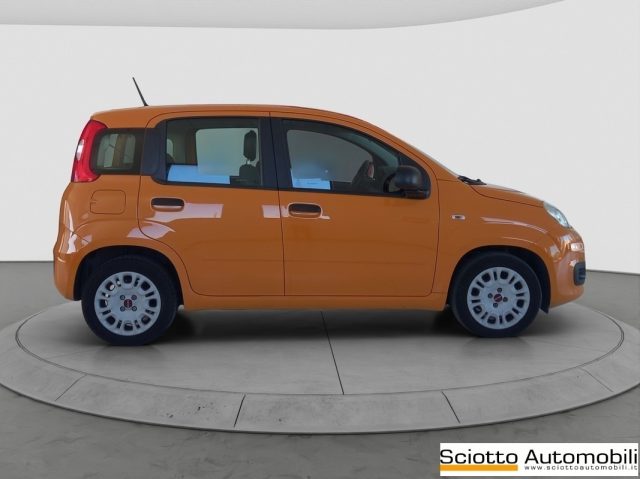 FIAT PANDA 1.2 EASY - foto 7