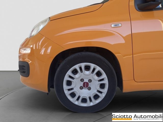 FIAT PANDA 1.2 EASY - foto 19
