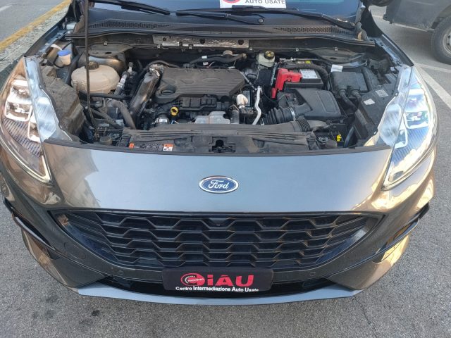 FORD KUGA 1.5 ECOBLUE 120 CV 2WD ST-LINE - foto 14