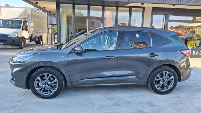 FORD KUGA 1.5 ECOBLUE 120 CV AUT. 2WD ST-L - foto 4