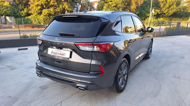 FORD KUGA 1.5 ECOBLUE 120 CV AUT. 2WD ST-L - foto 13