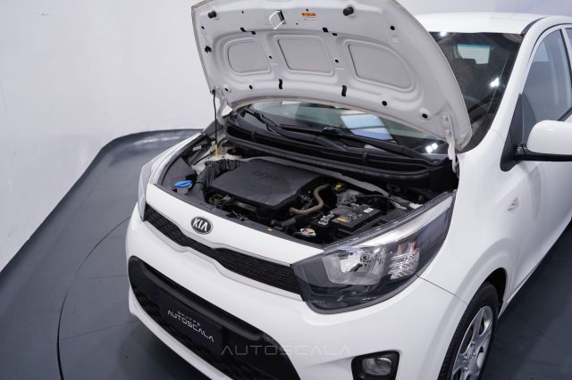 KIA PICANTO 1.0 12V 5 PORTE ACTIVE - foto 22