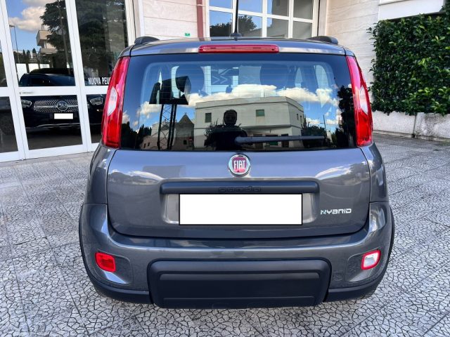 FIAT PANDA 1.0 FIREFLY S&S HYBRID CITY LIFE - foto 8