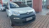 FIAT Panda 1.0 GSE S&S Hybrid Pop Van 2 posti Az. Italia