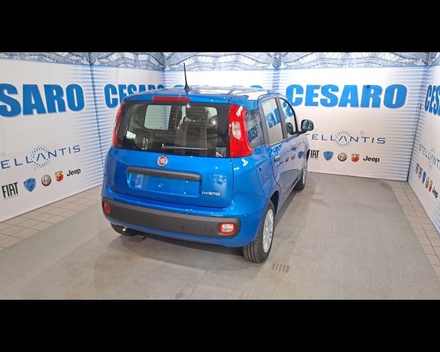 FIAT PANDINA 1.0 FIREFLY HYBRID ICON S&S 65CV - foto 3