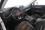 VENDO Auto a Verona – foto 1