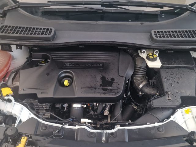 FORD KUGA 2.0 TDCI 120 CV S&S 2WD POWERSHI - foto 21