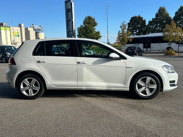 VOLKSWAGEN GOLF 1.4 TGI DSG 5P. EXECUTIVE BLUEMO - foto 7