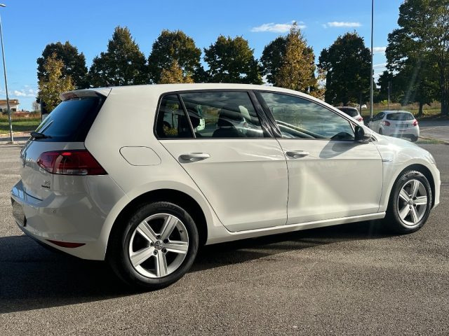 VOLKSWAGEN GOLF 1.4 TGI DSG 5P. EXECUTIVE BLUEMO - foto 5