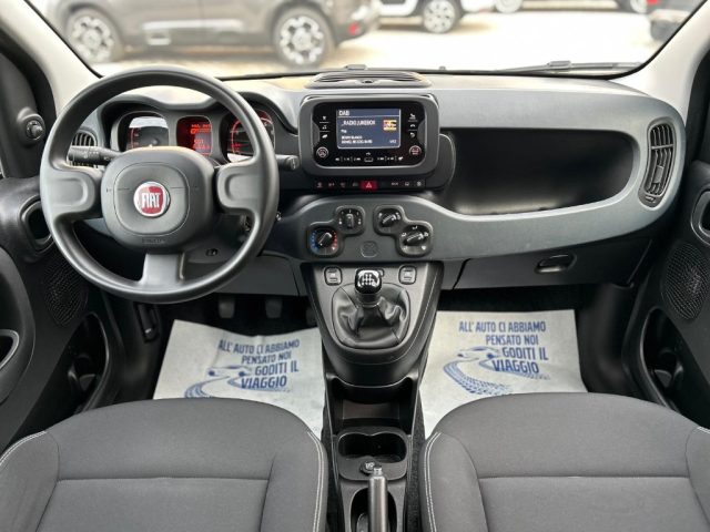 FIAT PANDA 1.0 FIREFLY S&S HYBRID CITY CROS - foto 19