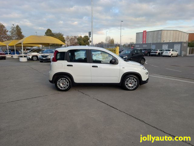 FIAT PANDA 1.0 FIREFLY S&S HYBRID 70CV - OK - foto 4