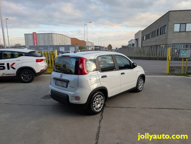 FIAT PANDA 1.0 FIREFLY S&S HYBRID 70CV - OK - foto 5