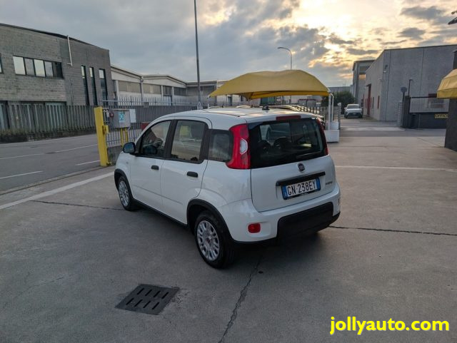 FIAT PANDA 1.0 FIREFLY S&S HYBRID 70CV - OK - foto 17