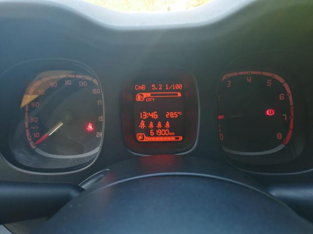 FIAT PANDA 1.0 FIREFLY S&S HYBRID CITY LIFE - foto 18