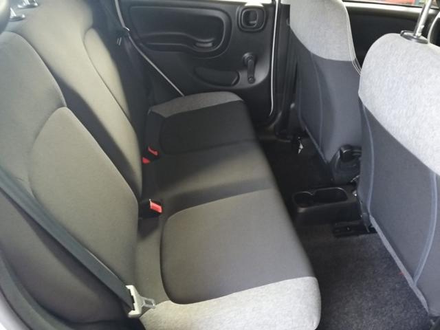 FIAT PANDA 1.0 FIREFLY S&S HYBRID CITY LIFE - foto 15