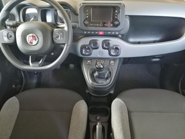 FIAT PANDA 1.0 FIREFLY S&S HYBRID CITY LIFE - foto 12