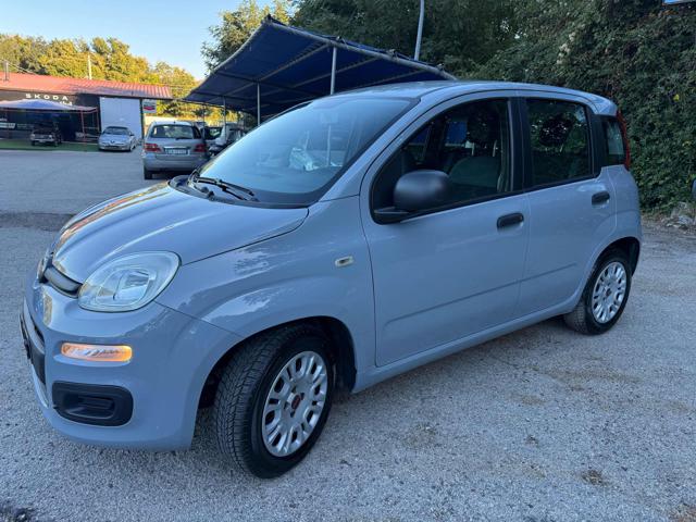 FIAT PANDA 1.2 EASY - foto 3