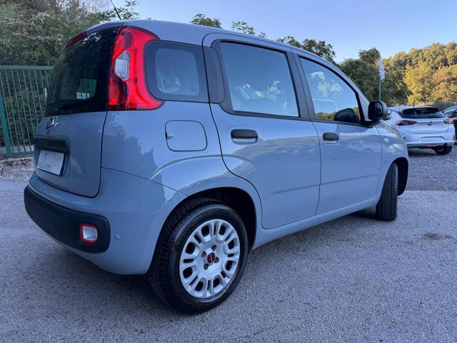 FIAT PANDA 1.2 EASY - foto 14