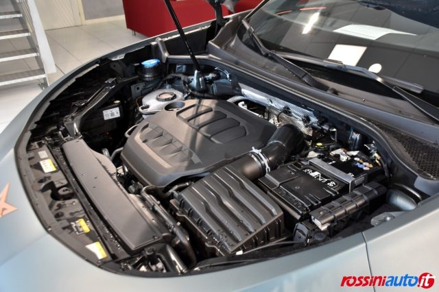 CUPRA TERRAMAR 2.0 TSI 265 CV DSG 4DRIVE AMERIC - foto 15