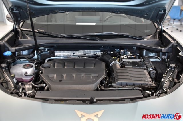 CUPRA TERRAMAR 2.0 TSI 265 CV DSG 4DRIVE AMERIC - foto 17