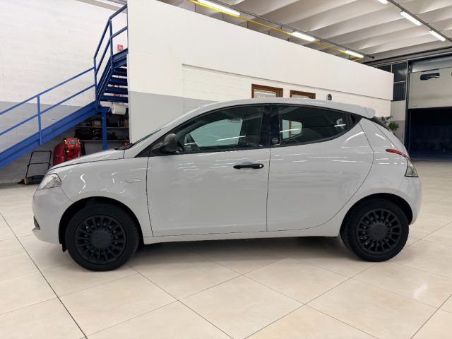 LANCIA YPSILON 1.0 FIREFLY 5 PORTE S&S HYBRID E - foto 8