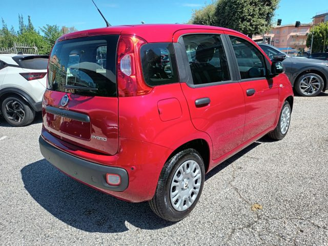 FIAT NEW PANDA 1000 HYBRID 70 CV PDC ITALIA - foto 6