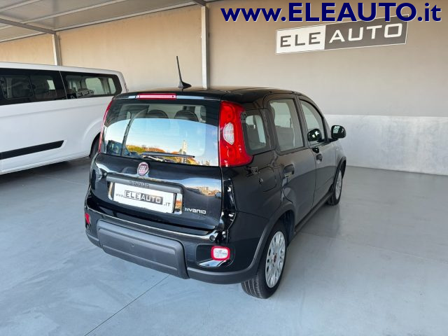 FIAT PANDA 1.0 FIREFLY S&S HYBRID - NEOPATE - foto 6