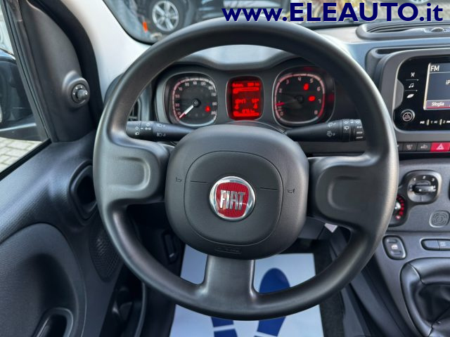 FIAT PANDA 1.0 FIREFLY S&S HYBRID - NEOPATE - foto 14