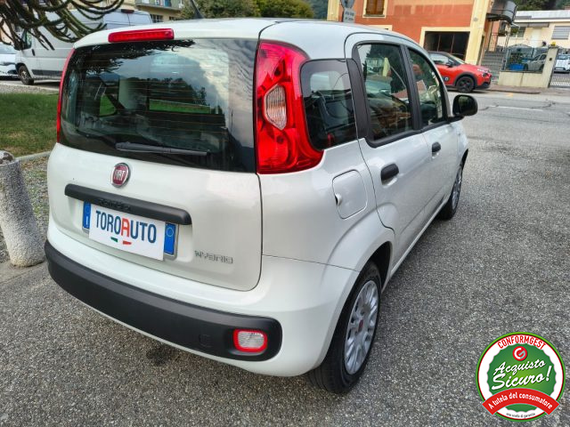 FIAT PANDA 1.0 FIREFLY S&S HYBRID UN. PROP. - foto 7