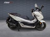 VENDO Moto e Scooter a Firenze – foto 1