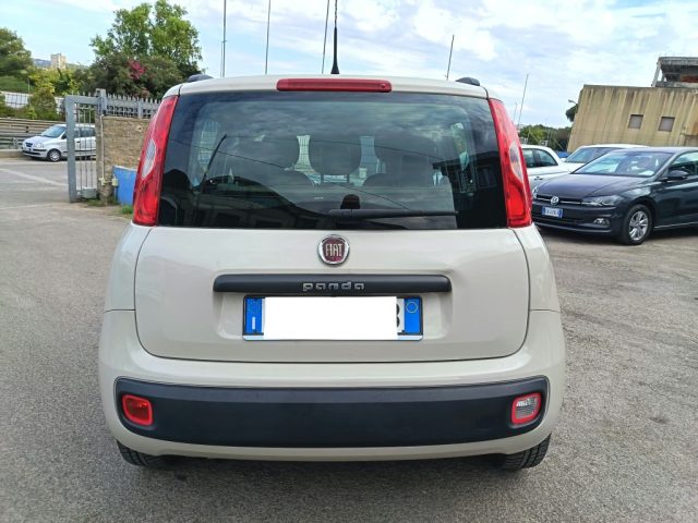 FIAT PANDA 1.2 EASY - foto 8
