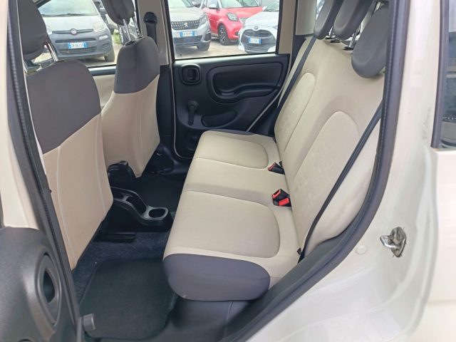 FIAT PANDA 1.2 EASY - foto 11