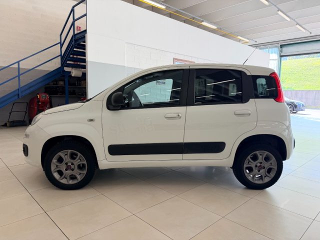 FIAT PANDA 1.3 MJT 4X4 POP VAN 2 POSTI - foto 8