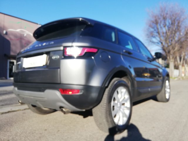 LAND ROVER RANGE ROVER 2.0 ED4 5P. BUSINESS EDITION PRE - foto 4
