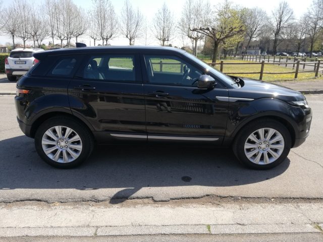 LAND ROVER RANGE ROVER 2.0 ED4 5P. BUSINESS EDITION PRE - foto 33