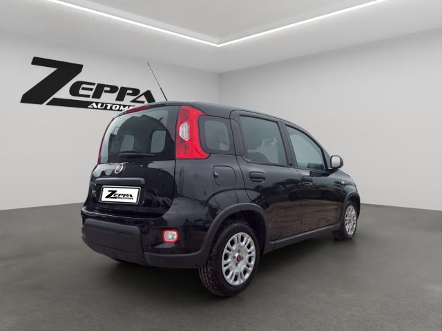 FIAT PANDA 1.0 FIREFLY S&S HYBRID - foto 6
